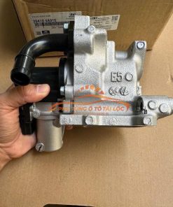 Van EGR Hyundai Solati 2014-2018 284104A910